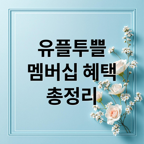 유플투쁠
멤버십 혜택
총정리 (LG유플러스, 새해 맞아 ‘유플투쁠’ 멤버십 혜택 확대)