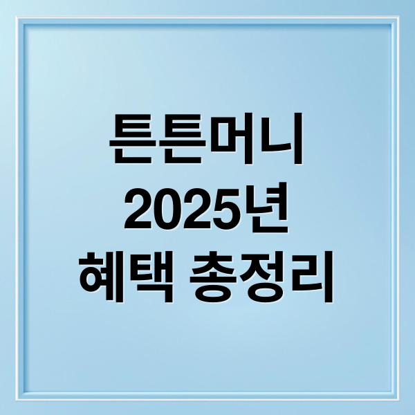 튼튼머니
2025년
혜택 총정리 (튼튼머니 사용처)