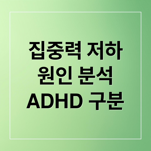 집중력 저하
원인 분석
ADHD 구분 (집중력 저하 원인)