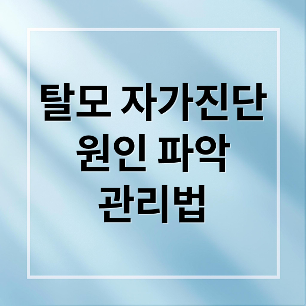 탈모 자가진단
원인 파악
관리법 (탈모 원인 자가 진단)