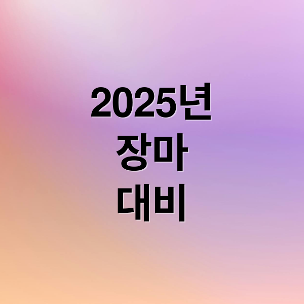 2025년
장마
대비 (2025년 장마기간)