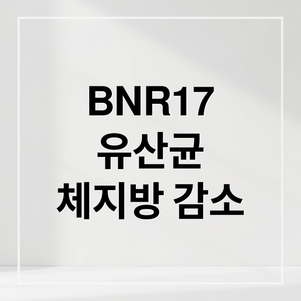 BNR17
유산균
체지방 감소 (BNR17 유산균 지방 감소 효과)