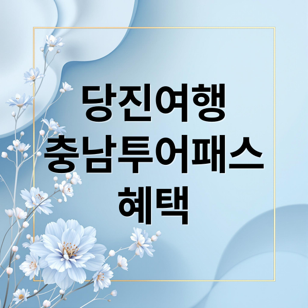당진여행
충남투어패스
혜택 (충남투어패스 당진 여행)