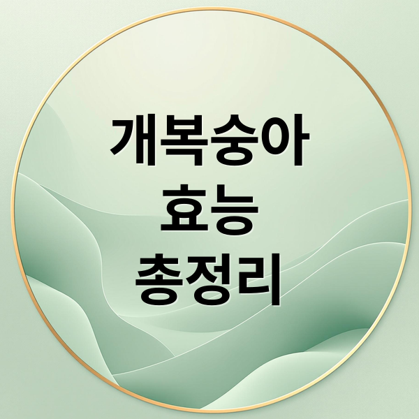 ๊ฐ๋ณต์ญ์ ํจ๋ฅ ์ด์ ๋ฆฌ