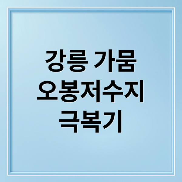 강릉 가뭄
오봉저수지
극복기 (강릉 가뭄 해제 오봉저수지 저수율 62%)