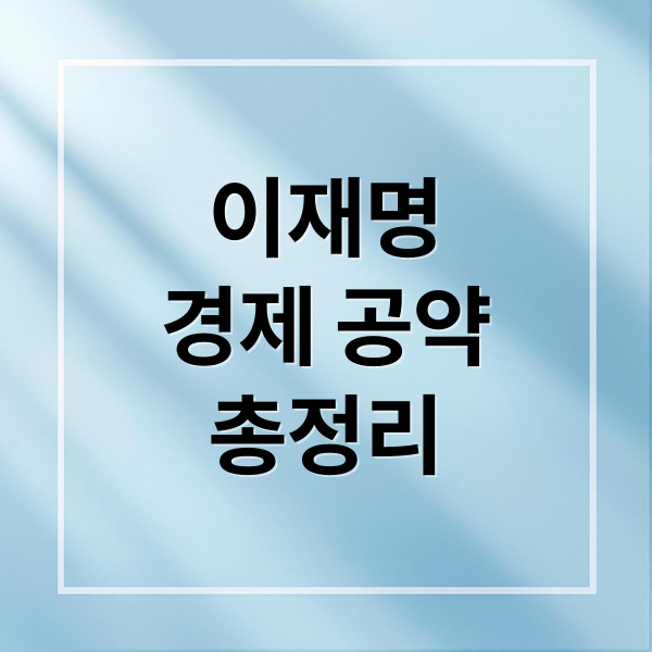 이재명
경제 공약
총정리 (이재명 공약)
