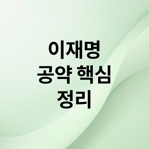 이재명
공약 핵심
정리 (이재명 공약)