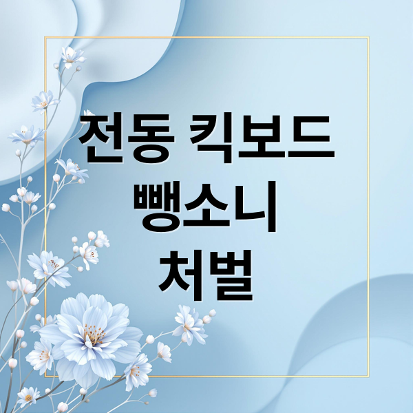 전동 킥보드
뺑소니
처벌 (전동 킥보드 사고 도주)