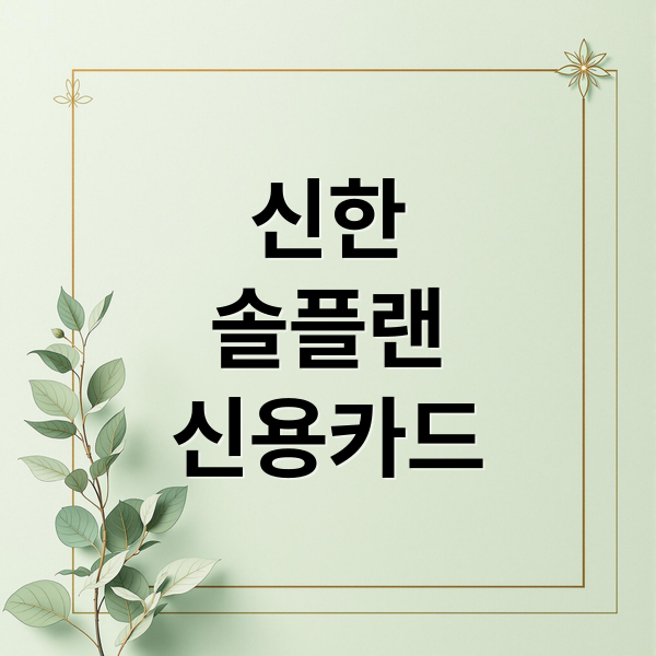 신한
솔플랜
신용카드 (신한 솔플랜 신용카드 5% 적립)