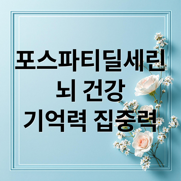 포스파티딜세린
뇌 건강
기억력 집중력 (포스파티딜세린 가격 효능 부작용)
