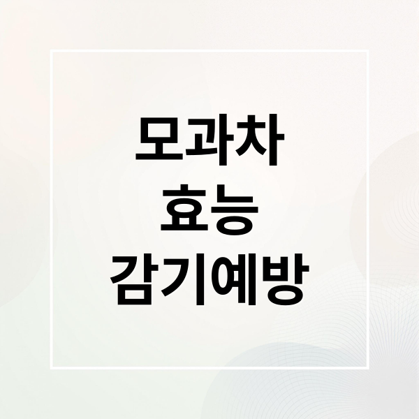 모과차
효능
감기예방 (겨울 모과차 효능)