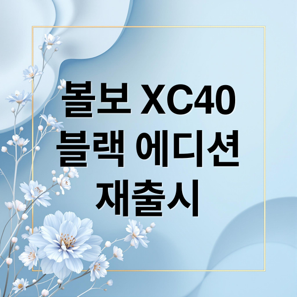 볼보 XC40
블랙 에디션
재출시 (볼보 SUV 3분 완판 재출시)
