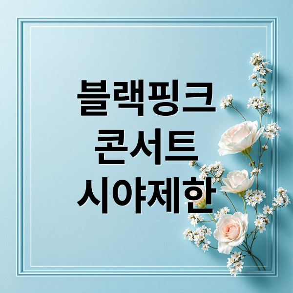 블랙핑크
콘서트
시야제한 (블랙핑크 콘서트 시야 제한석 논란)