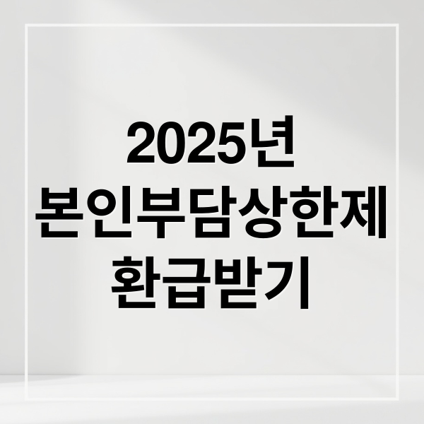 2025년
본인부담상한제
환급받기 (본인부담상한제 환급)