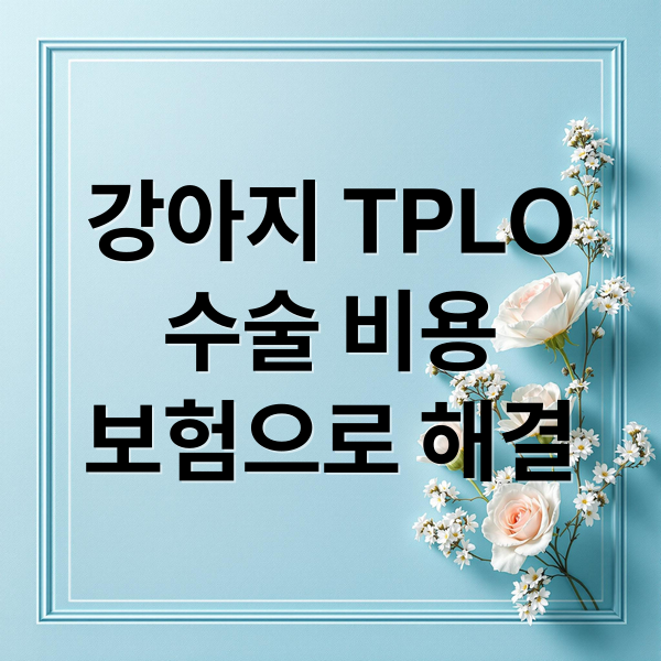강아지 TPLO
수술 비용
보험으로 해결 (반려동물 보험 TPLO 수술 보장 범위)