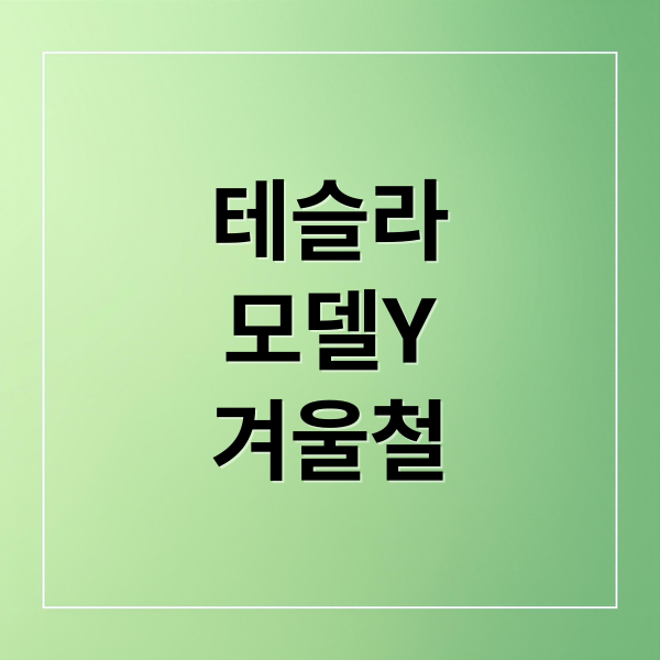 테슬라
모델Y
겨울철 (테슬라 모델Y RWD LFP 배터리 겨울철 주행거리)