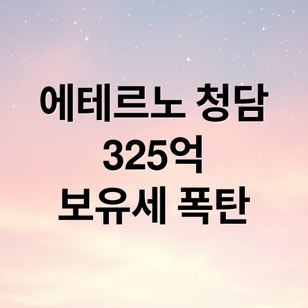 에테르노 청담
325억
보유세 폭탄 (에테르노 청담 공시가격)