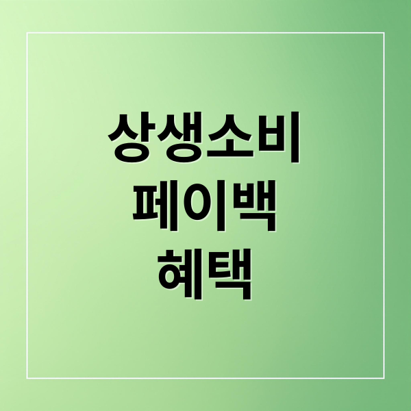상생소비
페이백
혜택 (상생소비복권 상생페이백 신청방법)