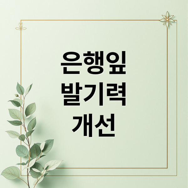 은행잎
발기력
개선 (은행잎 추출물 발기력 향상)