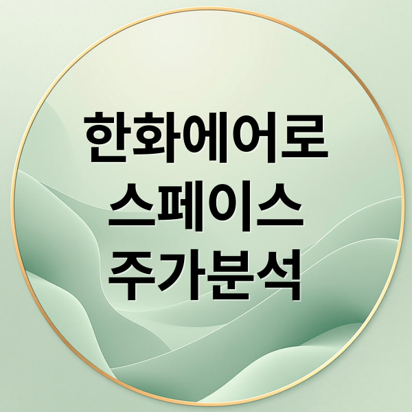 한화에어로
스페이스
주가분석 (한화에어로스페이스 주가 동향)