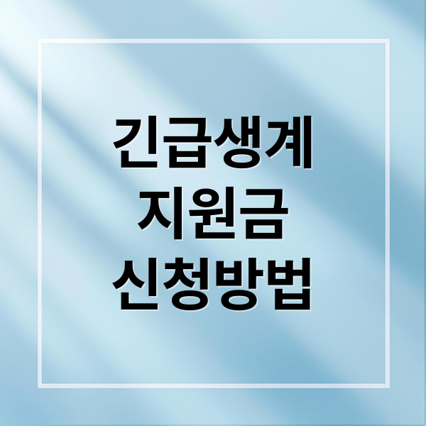 긴급생계
지원금
신청방법 (긴급생계지원금)
