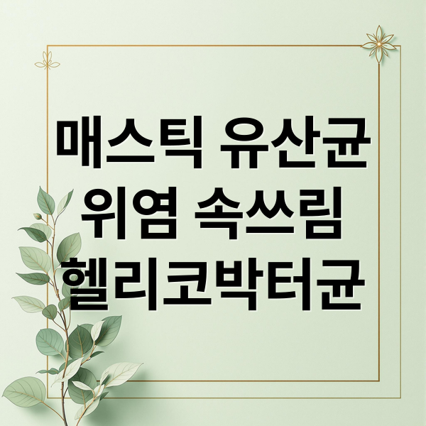 매스틱 유산균
위염 속쓰림
헬리코박터균 (매스틱 유산균 효능 부작용 위염)