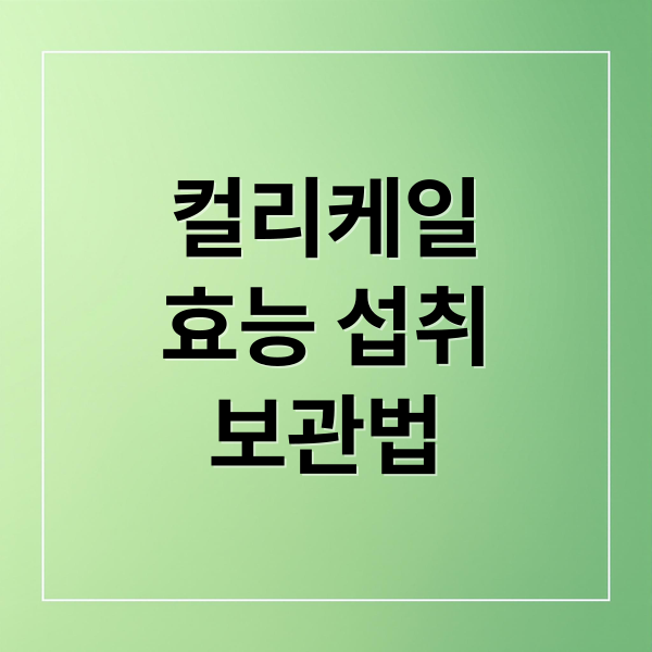 컬리케일
효능 섭취
보관법 (컬리케일 효능)