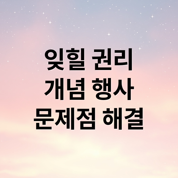 잊힐 권리
개념 행사
문제점 해결 (잊힐 권리 보장 범위)