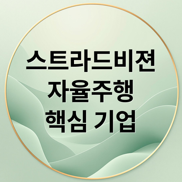 스트라드비젼
자율주행
핵심 기업 (자율주행관련주 스트라드비젼 상장)