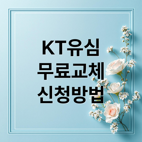 KT유심
무료교체
신청방법 (KT유심교체 방법)