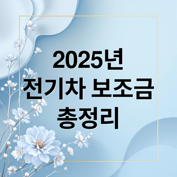 2025년
전기차 보조금
총정리 (전기차 보조금)
