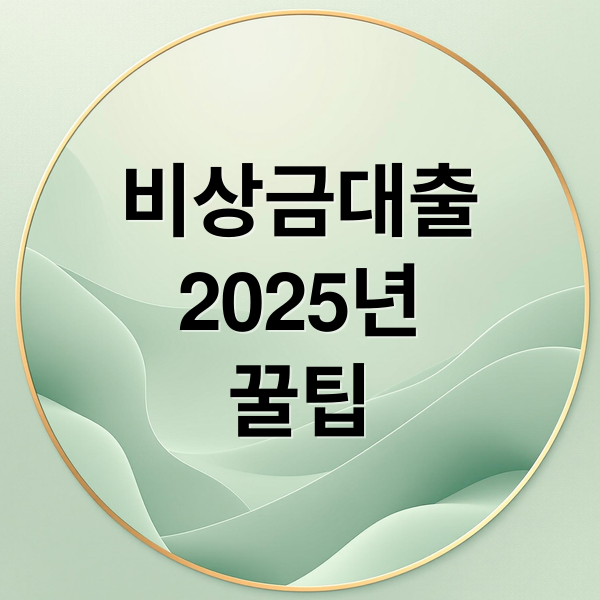 비상금대출
2025년
꿀팁 (비상금대출)