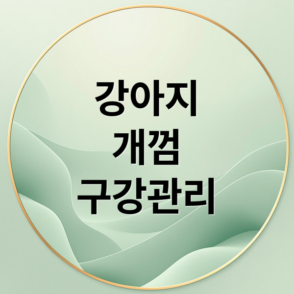강아지
개껌
구강관리 (강아지 개껌 잇몸 건강)