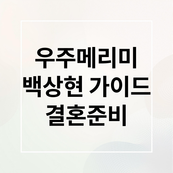 우주메리미
백상현 가이드
결혼준비 (우주메리미 백상현 가이드)