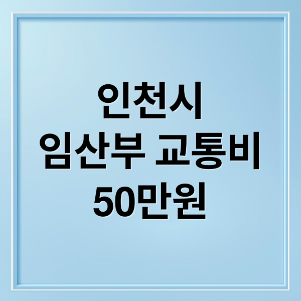 인천시
임산부 교통비
50만원 (인천시 임산부 교통비 50만원 지원)