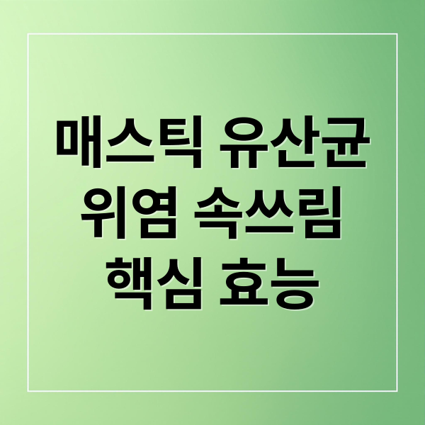매스틱 유산균
위염 속쓰림
핵심 효능 (매스틱 유산균 효능 부작용 위염)