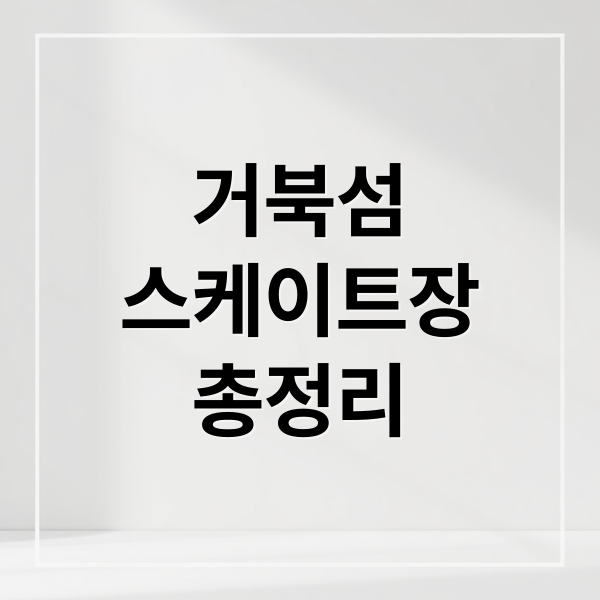 거북섬
스케이트장
총정리 (거북섬 스케이트장)