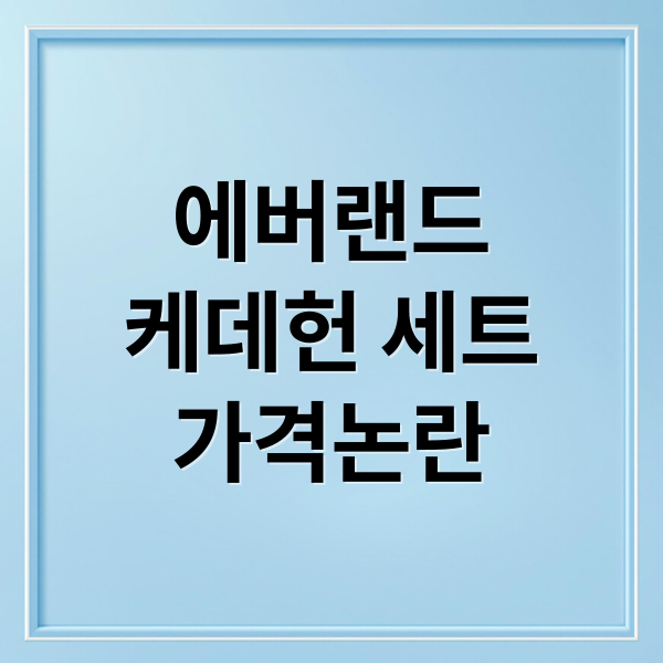 에버랜드
케데헌 세트
가격논란 (에버랜드 케데헌 분식 세트)