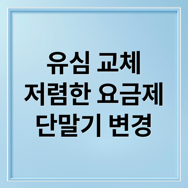 유심 교체
저렴한 요금제
단말기 변경 (SKT 알뜰폰 유심칩 교체)