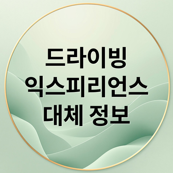 드라이빙
익스피리언스
대체 정보 (HMG 드라이빙 익스피리언스 2025년 종료)