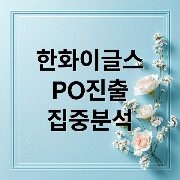한화이글스
PO진출
집중분석 (한화 이글스 플레이오프)
