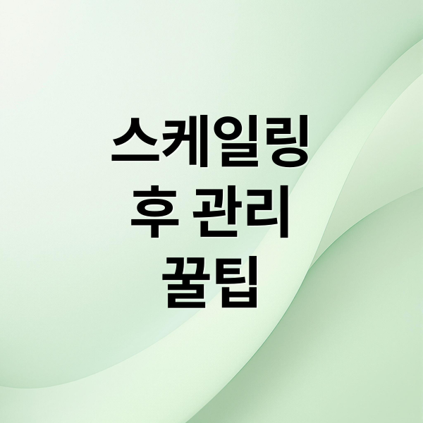 스케일링
후 관리
꿀팁 (스케일링 후 주의사항)