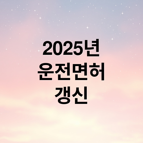 2025년
운전면허
갱신 (안전운전 통합민원 홈페이지 면허 갱신)