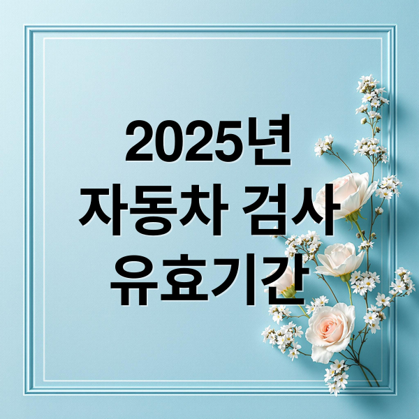 2025년
자동차 검사
유효기간 (자동차 검사 기간 확인)