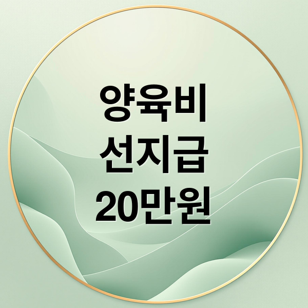 양육비
선지급
20만원 (양육비 선지급제 7월 20만원)