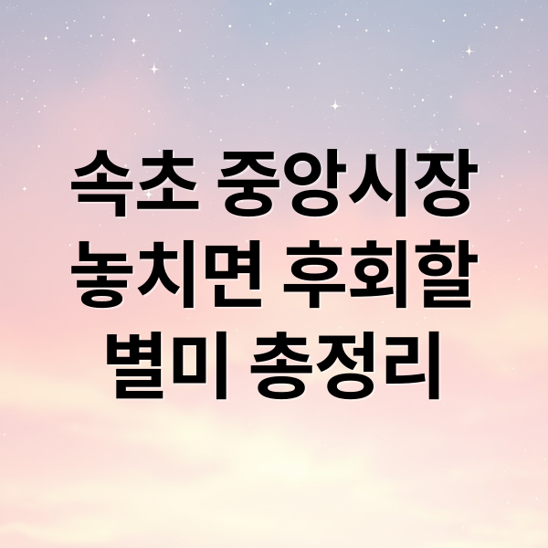 속초 중앙시장
놓치면 후회할
별미 총정리 (속초 중앙시장 주말 나들이)