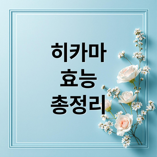 히카마
효능
총정리 (히카마 효능 다이어트 정체기)