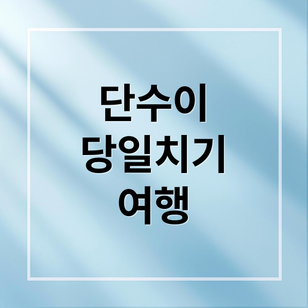 단수이당일치기여행 (타이베이 단수이 당일치기)