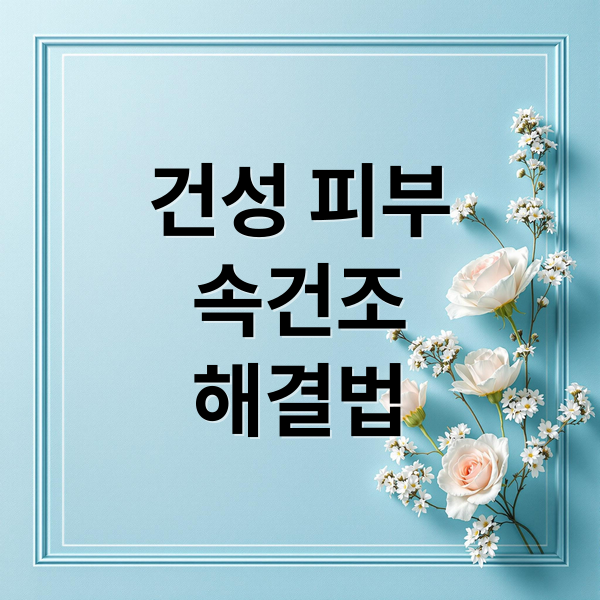 건성 피부
속건조
해결법 (건성피부 기초화장품)