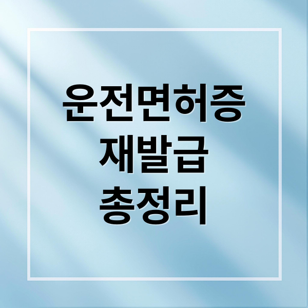 운전면허증
재발급
총정리 (운전면허증 재발급 필요서류)
